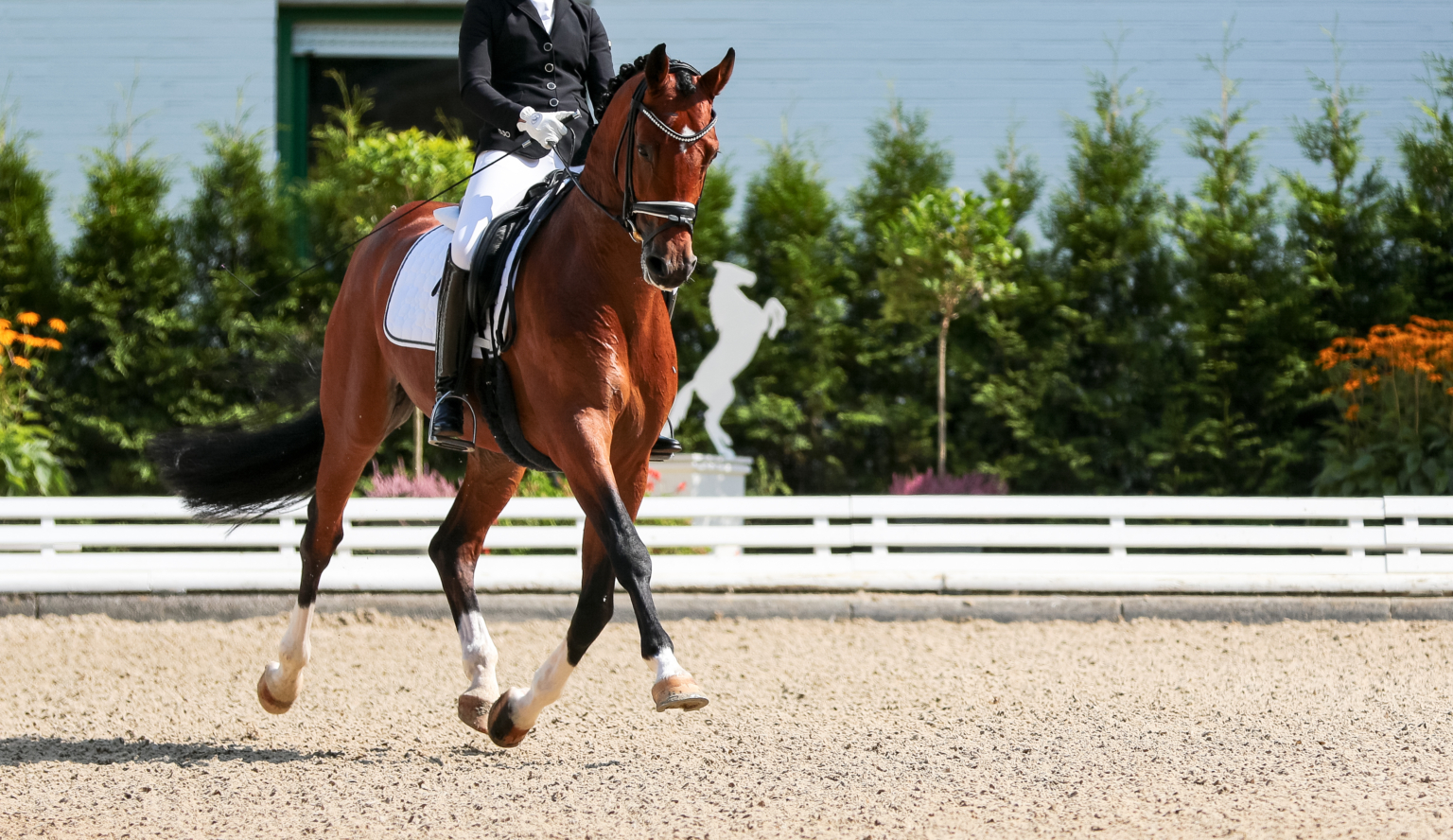 乗馬 パンツ キュロット WEMBLEY 36 ウェンブレー S M CAVALLO カバロ